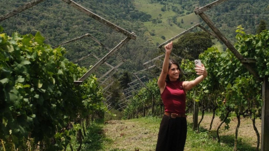 Camila Albino, apresentadora do programa 'Rotas do Vinho São Paulo'