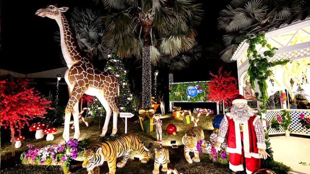 Natal em Amparo: Ypê 2025 vira atração para quem viaja pelo interior paulista