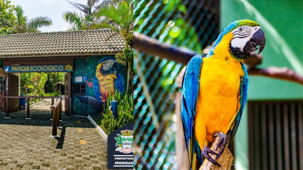 Parque Turístico Ecológico "A Tribuna"