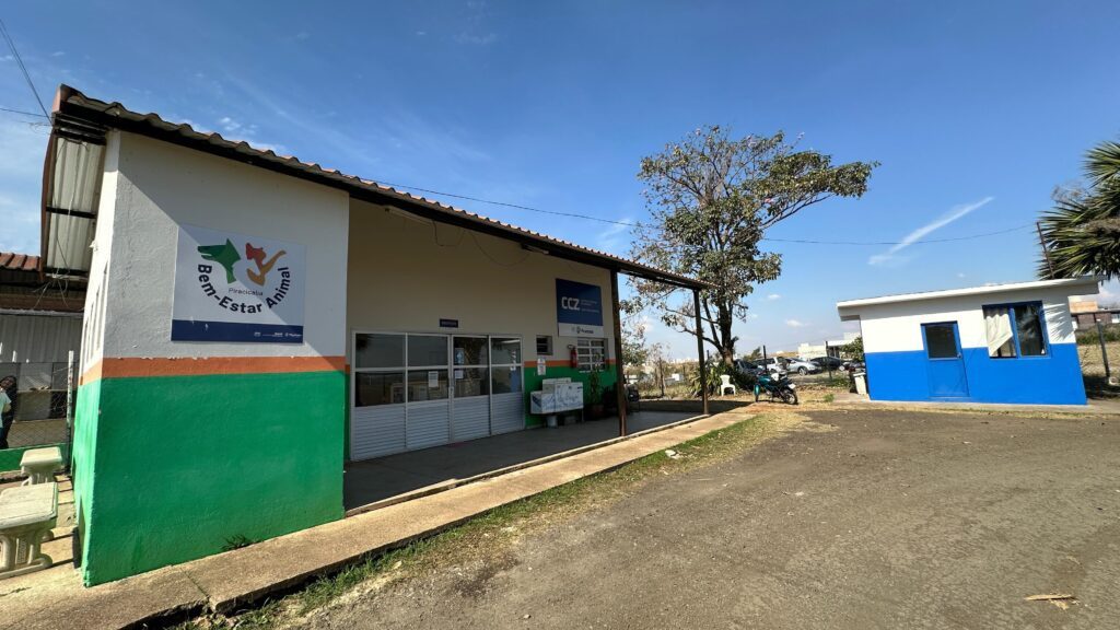 castração gratuita piracicaba