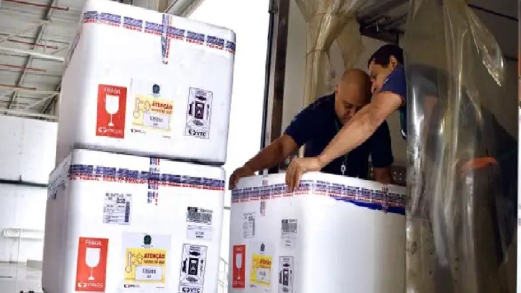 SP recebe imunizante contra o vírus sincicial respiratório; vacina deve chegar em Santos na próxima semana