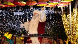 Natal de Holambra