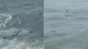 Homem é resgatado por surfistas após cair no mar de paraglider; VÍDEO