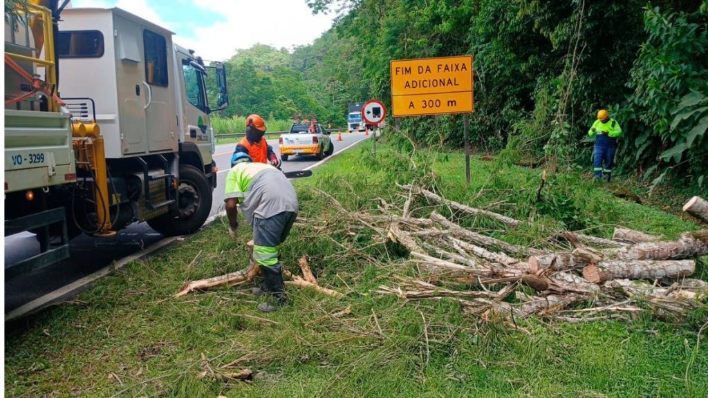 CNL remove 100 árvores de rodovias após passagem de ciclone extratropical