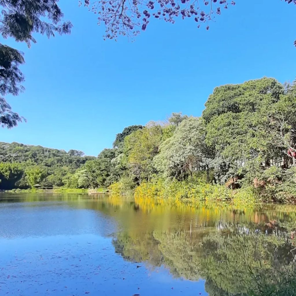 lago dos padres. Reprodução/@lago_dos_padres_oficial