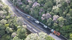 CNL remove 100 árvores de rodovias após passagem de ciclone extratropical