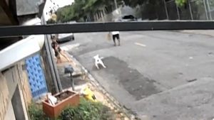 VÍDEO: Criança de 4 anos é atacada por pitbull em Campinas