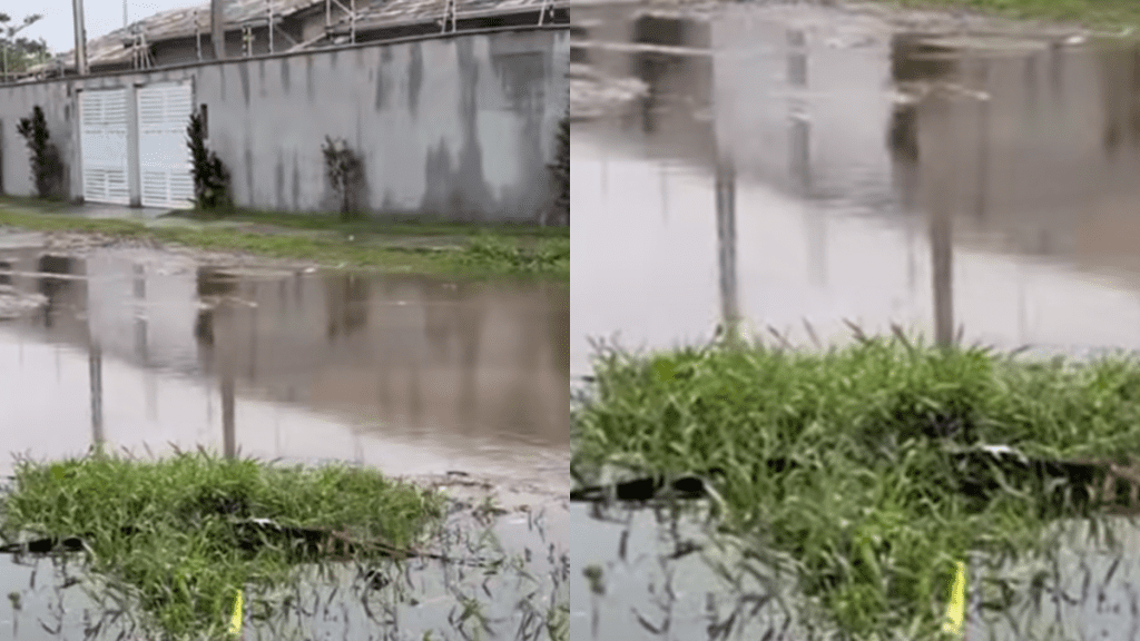 Chuva de verão causa alagamentos no litoral de São Paulo - Foto: redes sociais