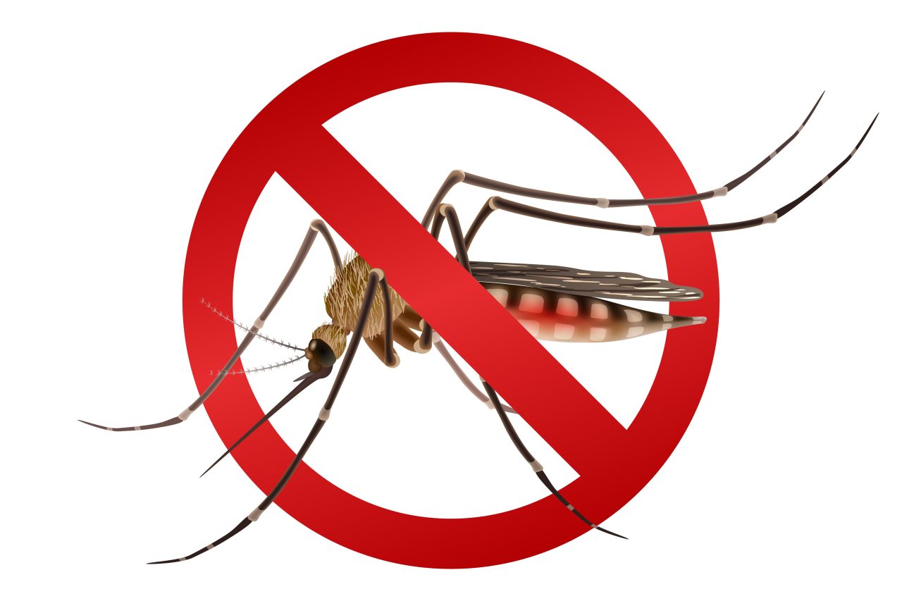 Água parada acumulada em objeto após chuva de verão, local propício para criadouro do mosquito da dengue.