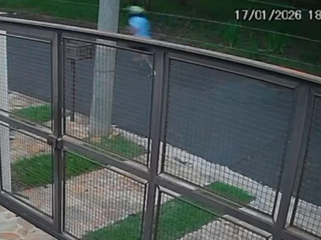 Motociclista Rafael Constantino, vítima de abordagem truculenta por policial civil em Campinas.