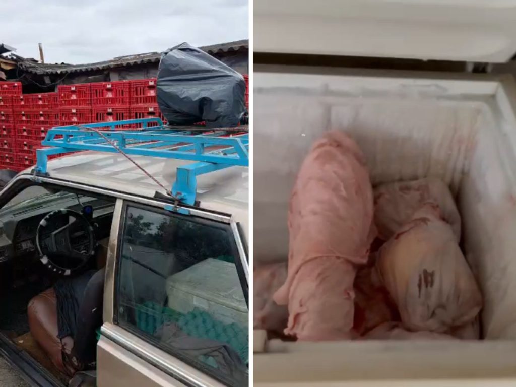 Fachada da DIG de Americana com viatura da Polícia Civil após operação em matadouro clandestino em Hortolândia.