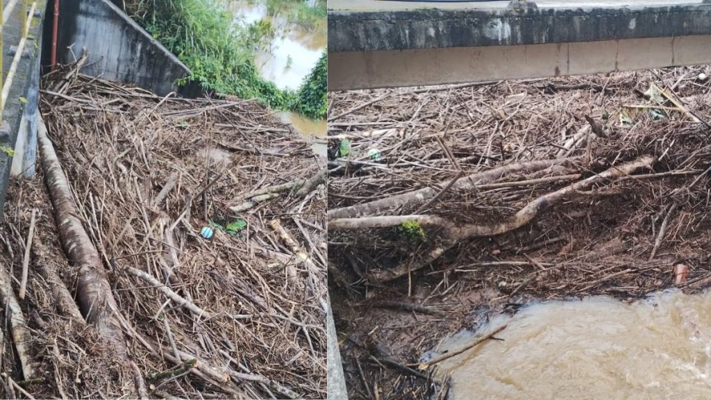 Estação de tratamento de água (ETA) Mambú/Branco foi afetada Foto:Sabesp