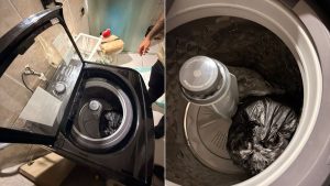 Polícia Civil encontra drogas escondidas em máquina de lavar no litoral de SP