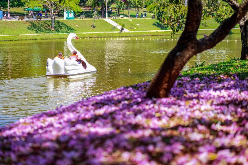 Vista do Parque Zeca Malavazzi em Paulínia com lago e vegetação, principal ponto turístico de lazer.