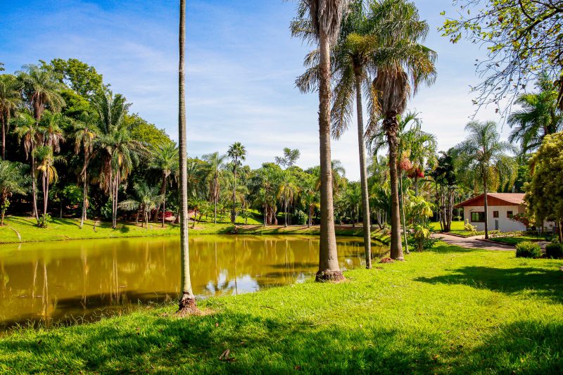 Área arborizada em Paulínia para passeio ao ar livre e entretenimento familiar em ponto turístico.