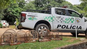 Polícia Ambiental apreende 15 aves mantidas presas em Várzea Paulista