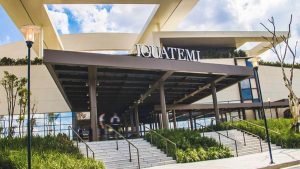 Iguatemi Campinas corta 78 árvores sem autorização e recebe multa milionária