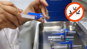 Nova vacina do Butantan contra a dengue começa a ser aplicada em Campinas