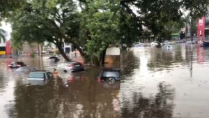 Chuva alaga kartódromo, deixa 21 carros submersos e derruba árvores em Campinas