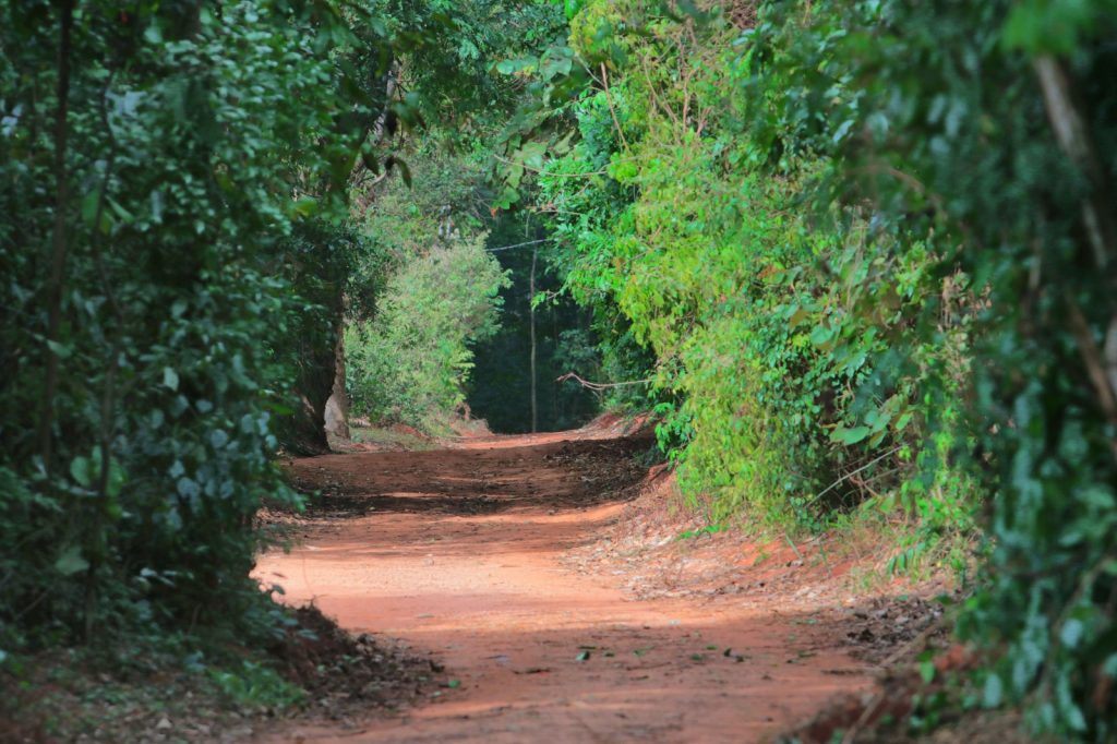 Portão da Mata de Santa Genebra fechado pela Prefeitura de Campinas após chuvas intensas de 123,7 mm.