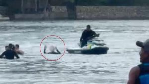 Adolescente é capturado após roubar correntes e fugir pelo mar em Guarujá