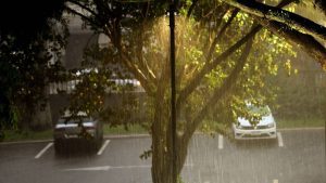 alerta tempestade campinas