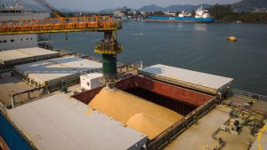 Movimentação de grãos no Porto de Santos