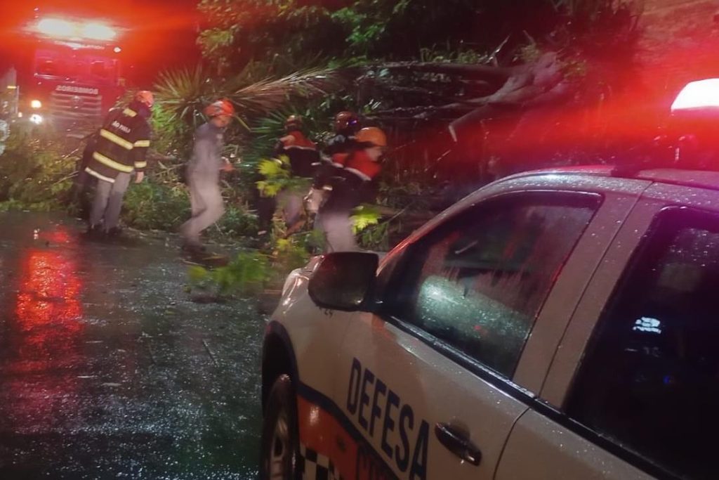 Árvores caídas obstruindo via pública após a chuva forte que atingiu o estado de São Paulo.