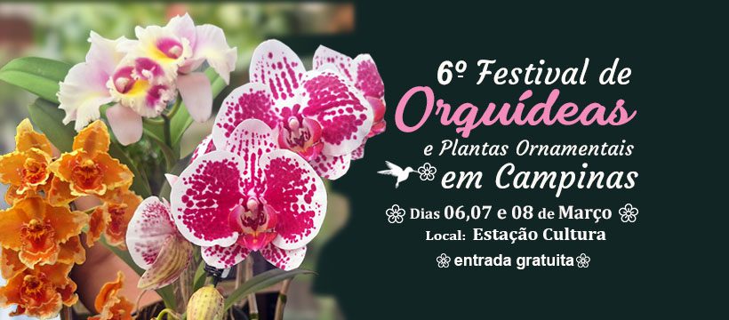 Exposição de orquídeas e flores em Campinas integrando a programação cultural do Dia Internacional da Mulher.