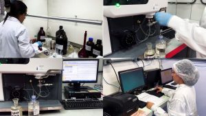 Irrigação de plantação agrícola destacando a importância da água na produção de alimentos e saúde no campo.