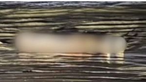 Homem é encontrado morto e nu na faixa de areia em Bertioga