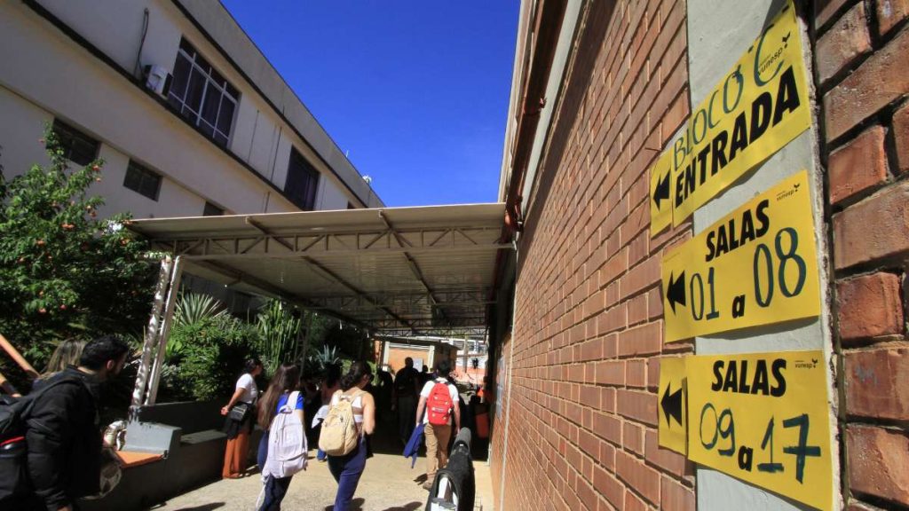 lei campinas concursos públicos. Divulgação Fernanda Sunega