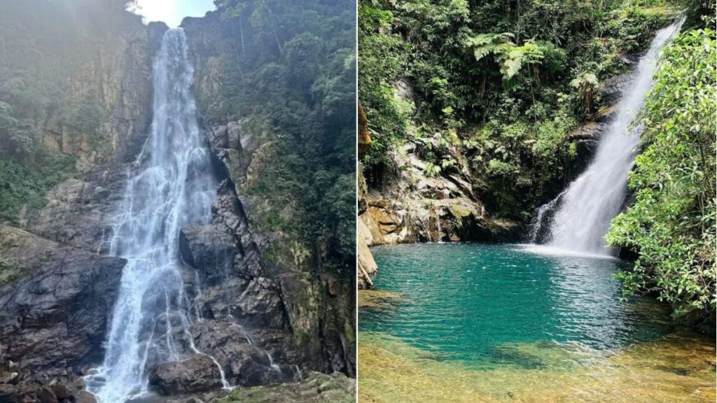 Paisagem de Cubatão evidenciando a transição do antigo Vale da Morte para referência global em recuperação ambiental.