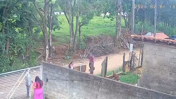 Bebê de 11 meses morre após ataque de pitbull em Socorro; polícia apura omissão