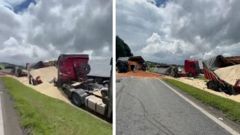 CAPA (1200 x 675 px) - 2026-02-03T190601.436