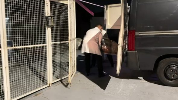 Duas mulheres e um cachorro são encontrados mortos dentro de casa em Indaiatuba