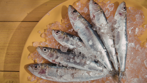 Pacote de sardinha congelada interditado pela Anvisa devido à contaminação por bactéria salmonella.