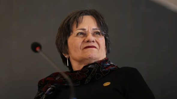 Representação do combate à violência doméstica e proteção dos direitos humanos das mulheres no Brasil.