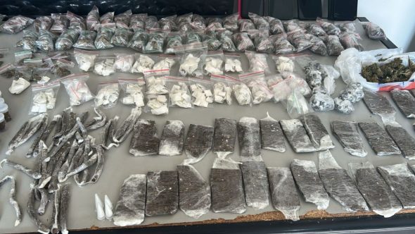 Apreensão de drogas em Santos