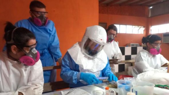 Paraná confirma dois casos de hantavírus