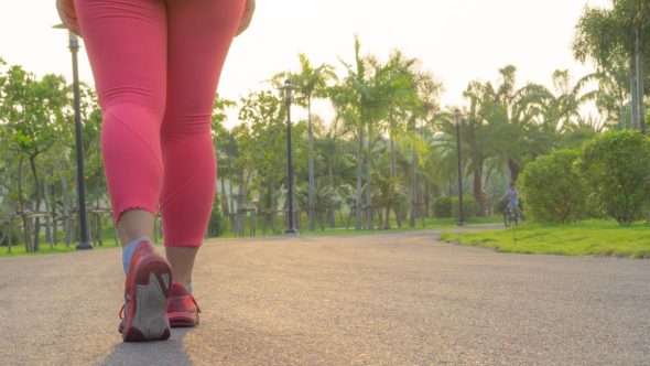 Campinas abre inscrições para a 1ª caminhada “Mulheres na Mata” de 5 km