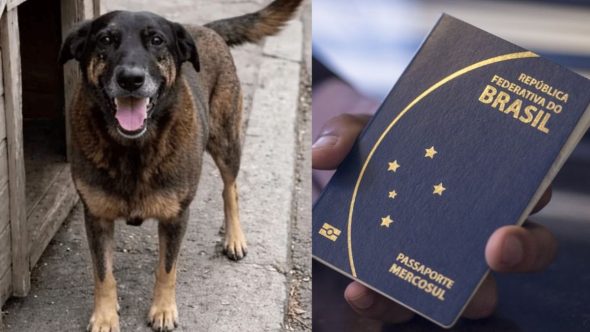 Cópia de Destaque Portal (8)