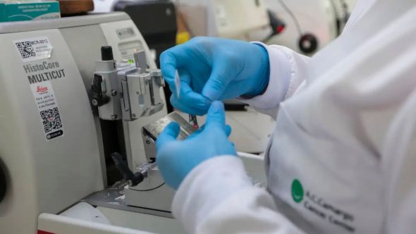 Profissional de saúde e paciente em estratégia de combate ao câncer no Brasil conforme Lei 15.385.