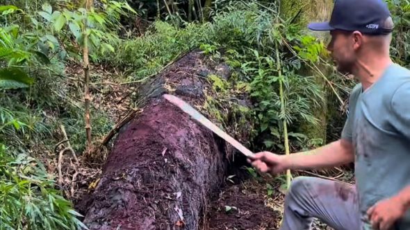 WhatsApp Image 2026-02-23 at 15.46.56