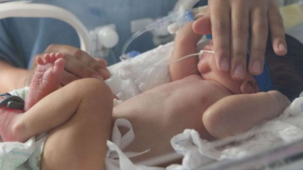 anticorpo contra bronquiolite