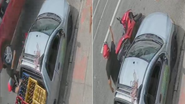 atropelado-grávida-santos