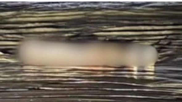 Homem é encontrado morto e nu na faixa de areia em Bertioga