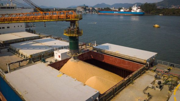 Movimentação de grãos no Porto de Santos