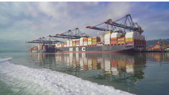 Porto de Santos bate recorde e movimenta 186,4 milhões de toneladas em 2025