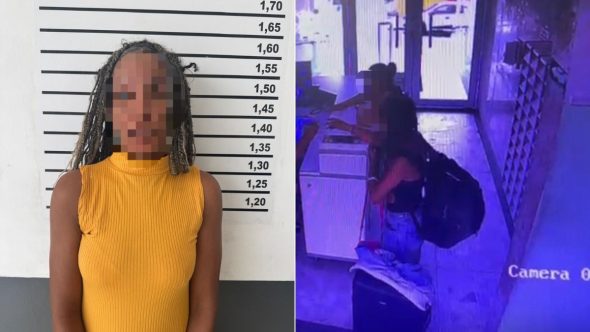 Suspeita de furto em residência no bairro José Menino em Santos identificada pela Polícia Civil paulista.